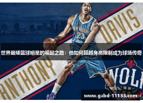 世界最矮篮球明星的崛起之路：他如何超越身高限制成为球场传奇