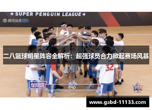 二八篮球明星阵容全解析：超强球员合力掀起赛场风暴