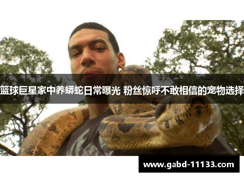 篮球巨星家中养蟒蛇日常曝光 粉丝惊呼不敢相信的宠物选择