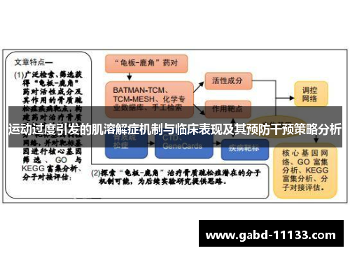 运动过度引发的肌溶解症机制与临床表现及其预防干预策略分析